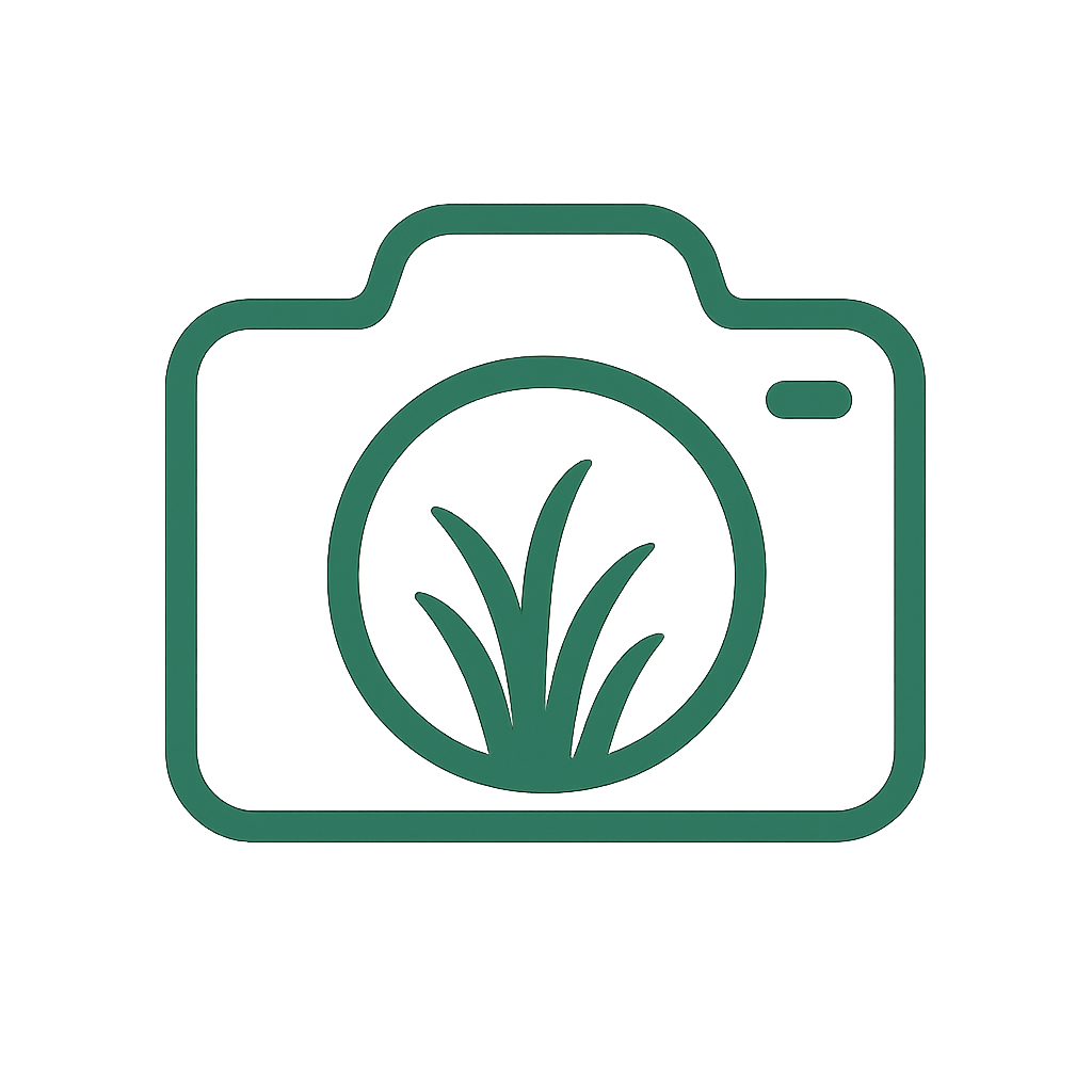 Yardly Logo